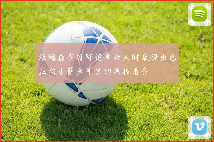 杨瀚森在对阵德鲁蒂米时表现出色应向小萨和申京的风格看齐