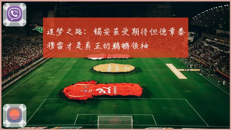 追梦之路：锡安虽受期待但德章泰穆雷才是真正的鹈鹕领袖